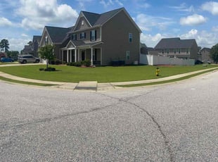 Ruth L.'s turf care service result