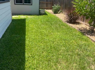 Tony M.'s turf maintenance service result