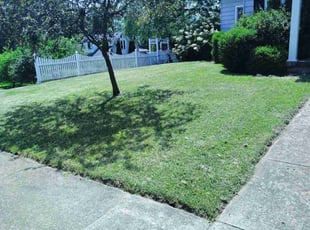 Jose C.'s lawn service service result