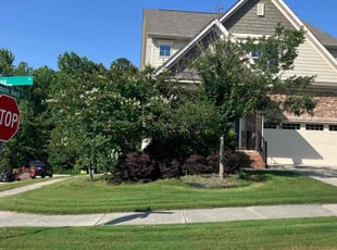 Janice K.'s lawn care service result