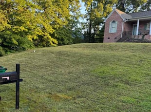 Jerry G.'s lawn care services service result