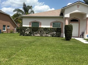 Tina H.'s Bush Trimming service result