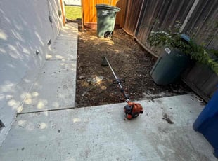 Clarence W.'s Long Grass Cleanup service result