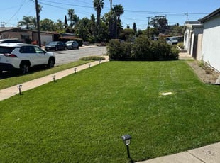 Matthew P.'s gardening service service result