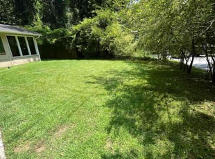 Ellie K.'s turf maintenance service result