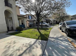 Steven S.'s turf care service result