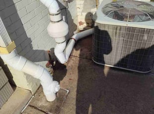 Kene O.'s turf maintenance service result