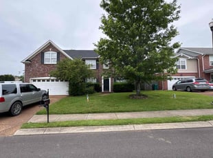 Rachele C.'s lawn service service result