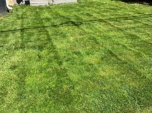 Steve V.'s lawn care services service result