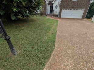 Warren V.'s grass maintenance service result