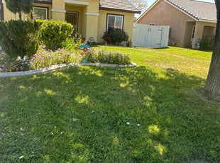 Susie P.'s yard service service result