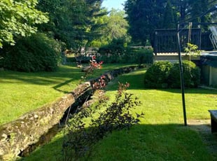 Dylan S.'s grass cutting service result