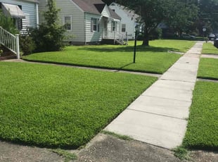 Jim L.'s grass maintenance service result