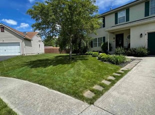 Chima D.'s lawn maintenance service result