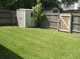 Alexandria S.'s lawn care service result