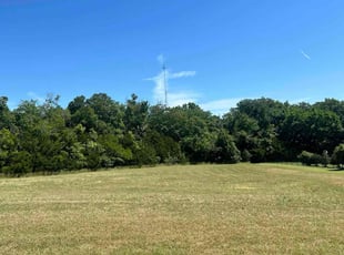 Shiloh F.'s grass cutting service result