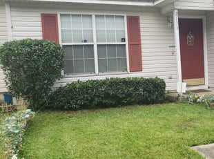 Jennie F.'s Bush Trimming service result
