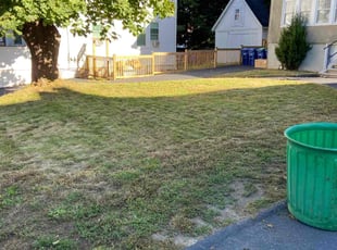 Cindy T.'s grass cutting service result