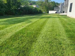 Deja I.'s lawn care services service result