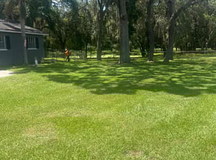 Jessica H.'s grass maintenance service result