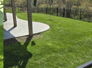 Sophia G.'s turf maintenance service result
