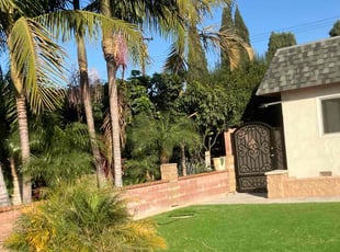 Pat C.'s Long Grass Cleanup service result