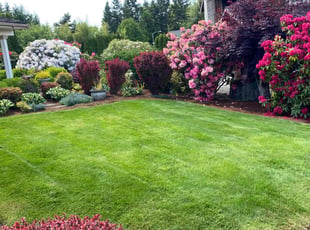 Charlene W.'s grass cutting service result