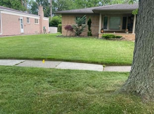 Phil P.'s lawn maintenance service result