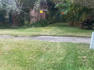 Debbie S.'s turf care service result