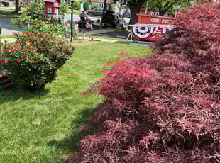 Mikayla S.'s lawn care services service result