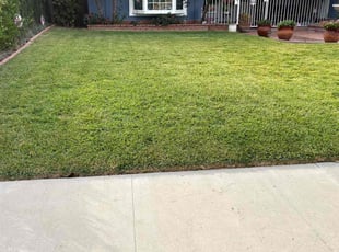 Ty R.'s yard work service result