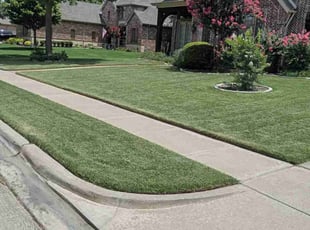 Susan A.'s grass cutting service result