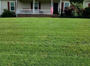 Verna D.'s grass cutting service result