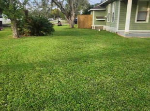 Finn M.'s turf care service result