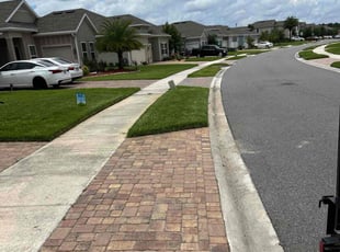 Anne E.'s grass cutting service result