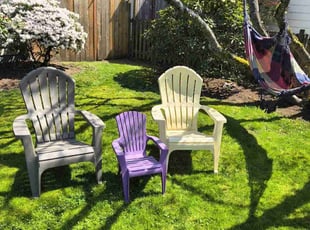 Neressa G.'s turf care service result