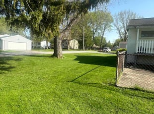 Peter B.'s turf maintenance service result