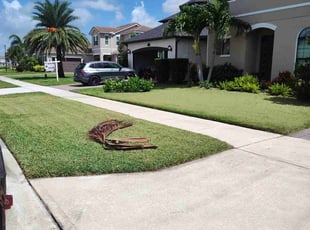 Betty R.'s turf maintenance service result