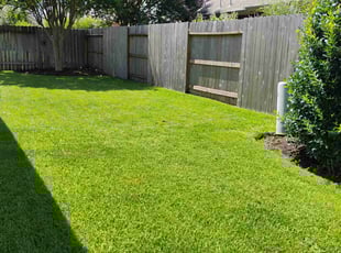 Renae B.'s grass maintenance service result