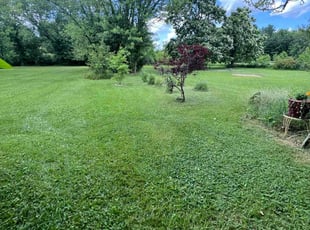 Millie G.'s landscaping service result