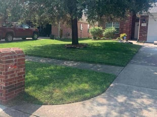 Janet W.'s turf care service result