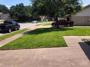 Nicholas R.'s Lawn Mowing service result