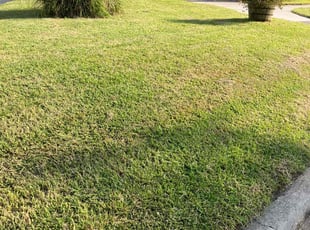 Michael M.'s turf maintenance service result