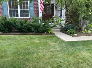 Joseph M.'s Flower Bed Weeding service result