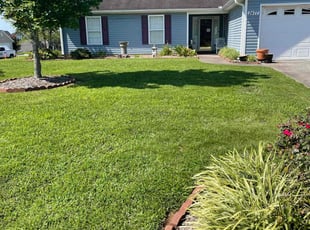 Lina W.'s grass maintenance service result