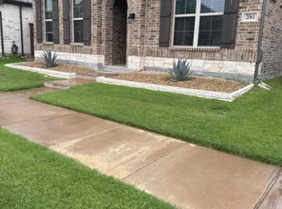 Aurea O.'s turf maintenance service result