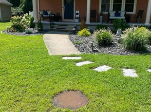 Mr B.'s turf care service result