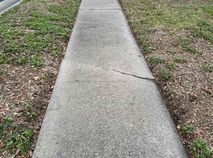 Cathy D.'s grass maintenance service result