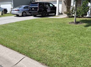 Jamy E.'s lawn care services service result