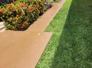 Christina S.'s grass cutting service result
